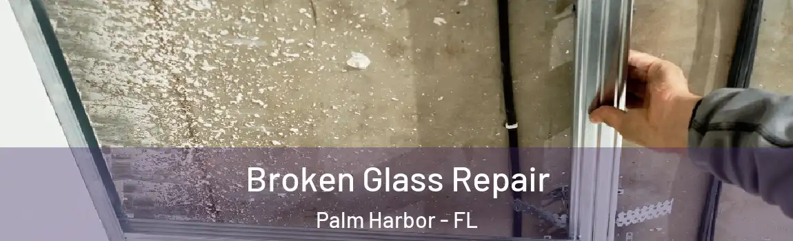 Broken Glass Repair Palm Harbor - FL