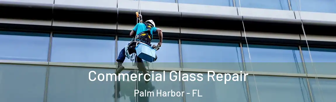 Commercial Glass Repair Palm Harbor - FL