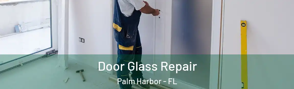 Door Glass Repair Palm Harbor - FL