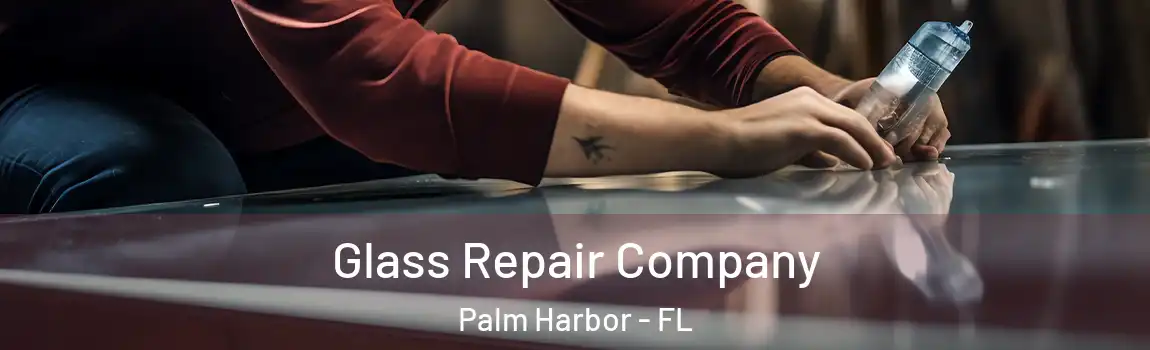 Glass Repair Company Palm Harbor - FL