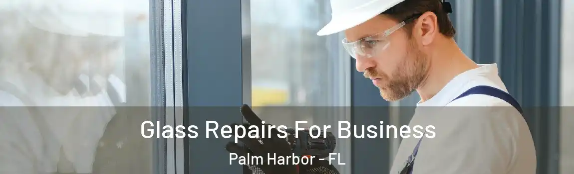 Glass Repairs For Business Palm Harbor - FL