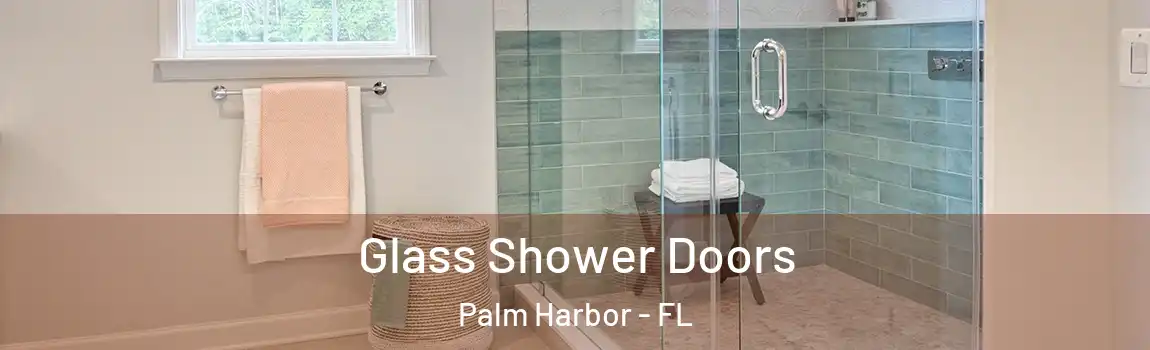 Glass Shower Doors Palm Harbor - FL
