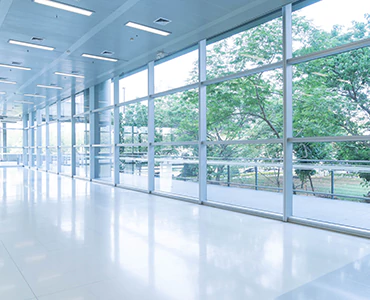 emergency glass repair in Palm Harbor, FL