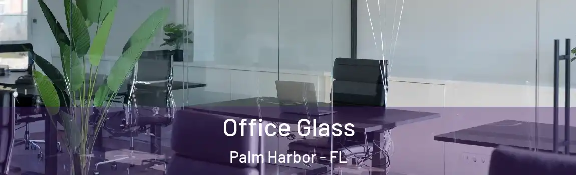  Office Glass Palm Harbor - FL