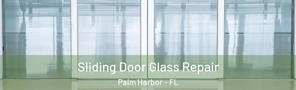 Sliding Door Glass Repair Palm Harbor - FL
